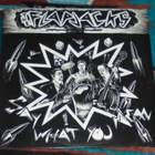THE FLAPJACKS ~ Say What You Mean ~ LP Tombstone Records - pikkukuva 1