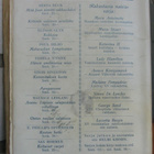 Ottwell Binns: Vaihdokkaan salaisuus, Minerva 1928. 261 s. - pikkukuva 2