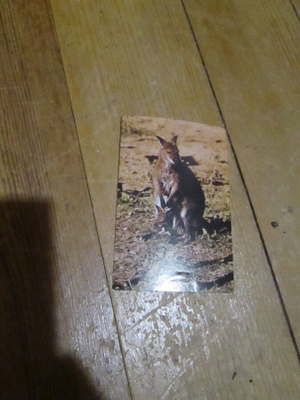 JENKKI Korkeasaari purkkakuva n:o 44