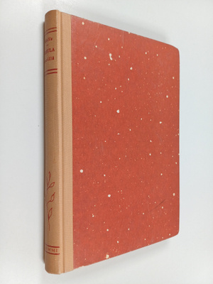 Helen Wells : Ursula merillä