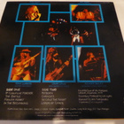 MAGNUM - Marauder LP - Jet Records 1980 - pikkukuva 2