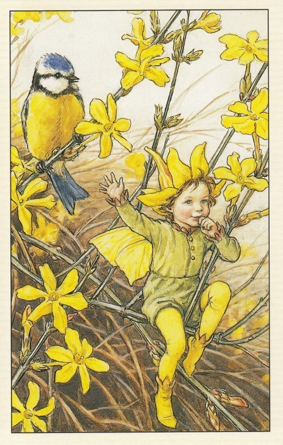 Cicely Mary Barker: Kukkakeijut talvijasmiini