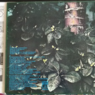 Jim Pembroke - Corporal cauliflowers mental function - LP - pikkukuva 2