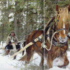 Seura n:o 10 2003 Susanna Tervaniemi ja missien menetetty ma - pikkukuva 3