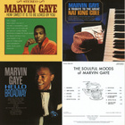 Marvin Gaye – Volume One 1961 – 1965 7CD-boxi - pikkukuva 3
