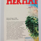 Hermann Hesse : Katoava kesä : kertomuksia - pikkukuva 2