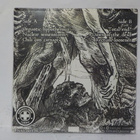 CANNIBAL ACCIDENT - LENNU UUSI 7" + DVD - pikkukuva 2