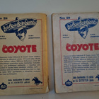 El Coyote nrot 28 ja 59 - pikkukuva 2