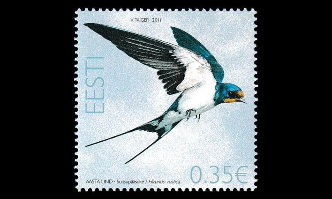 Eesti 693 ** Vuoden lintu haarapääsky (2011)