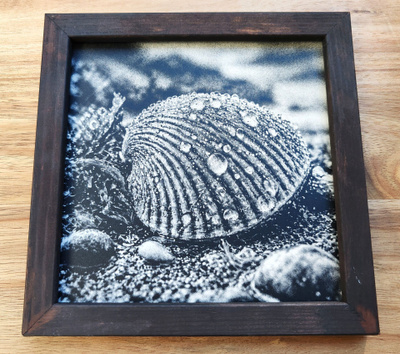 Kastepisarat simpukankuoressa Laserkaiverrettu taulu