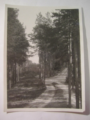 VANHA Valokuva Punkaharju 1930-l Kortin Alkup.Mallikappale