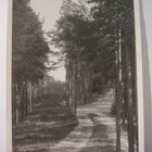 VANHA Valokuva Punkaharju 1930-l Kortin Alkup.Mallikappale - pikkukuva 1