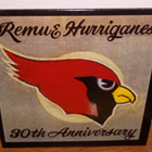 REMU & HURRIGANES - CRAZY DAYS 30TH ANNIVERSARY CD SINGLE - pikkukuva 1