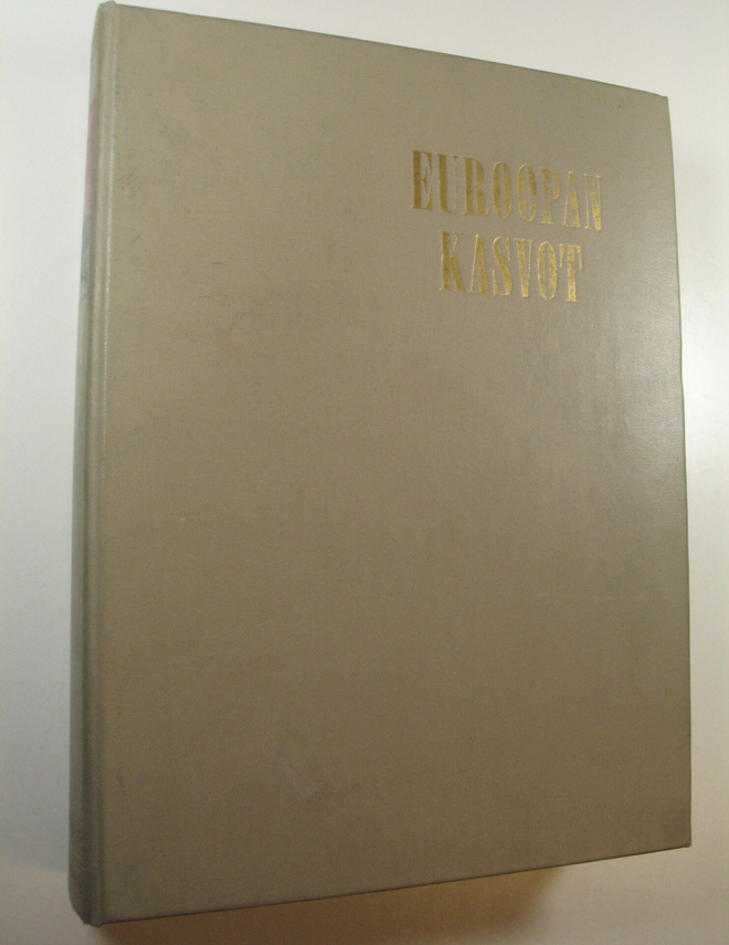 Heikki Brotherus : Euroopan kasvot : maat, kansat, nähtäv...