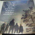 AMORAL - FALLEN LEAVES & DEAD SPARROWS 2LP UUSI "SS" 2014 ++ - pikkukuva 2