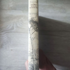 Hadrianuksen muistelmat Marguerite Yourcenar - pikkukuva 3