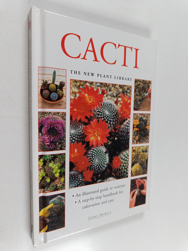 Terry Hewitt : Cacti