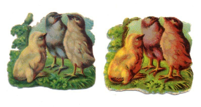WANHA / Pääsiäistiput neuvonpidossa - 2 kuvaa. 1900-l.
