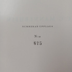 Carl Gustaf Emil Mannerheim : C. G. Mannerheim (numeroitu) - pikkukuva 3