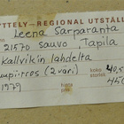 Leena Sarparanta -79 Kallvikin lahdelta - pikkukuva 4