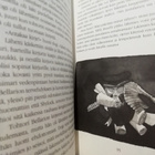 Macbeth ja muita Shakespearen kertomuksia - 1.p.1989 - pikkukuva 4