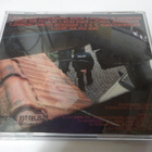 GOATMOON - HARD EVIDENCE UUSI CD - pikkukuva 2