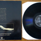 China Swallow - Gods Themselves (1990) - pikkukuva 2