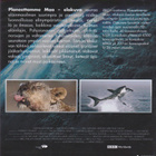 DVD: Planeettamme Maa - elokuva - pikkukuva 2