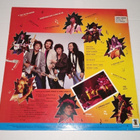 DAVID LINDLEY WIN THIS RECORD LP - pikkukuva 2