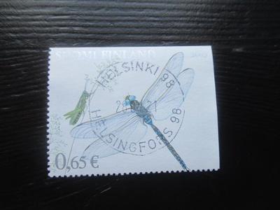 Kesä pihapiirissä (lape 1651) 2003