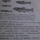 Pulkkinen - Hellaakoski - Laamanen : Eläinoppi II 1946 - pikkukuva 2