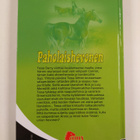 Pamela Kavanagh : Paholaishevonen - pikkukuva 2