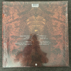 Pantera - Far Beyond Driven 2020 EU Reissue 2X LP - pikkukuva 2