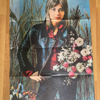 Suzi Quatro juliste + Shakin' Stevens juliste - pikkukuva 1
