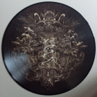Nightwish – Endless Forms Most Beautiful 2LP PICTURE DISCS - pikkukuva 2