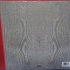 Paysage D'Hiver – Einsamkeit M-/M- 2LP - pikkukuva 2