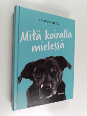 Bo Söderström : Mitä koiralla mielessä