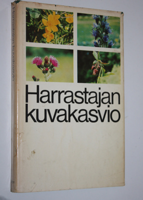 Lorentz (suunnittelu) Bolin : Harrastajan kuvakasvio