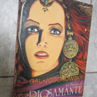 Diosamante : La Passion de Diosamante  Alejandro Jodorowsky - pikkukuva 1