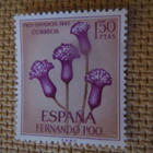 Fernando Poo 1967: kukkia - pikkukuva 4