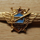 USSR Soviet Military Air Force Pilot Wings - pikkukuva 1