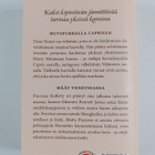 Elizabeth Adler : Huvipurrella Caprille ; Häät Venetsiassa - pikkukuva 2