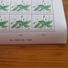 Postimerkkiarkki Tuberkuloosi 1983 Kukkia - 1,00 + 0,20m - pikkukuva 3