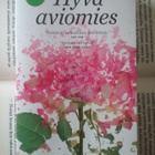 Liane Moriarty - Hyvä aviomies (pokkari) - pikkukuva 1