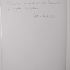 Ritva Martintalo : Pienen koivun tarina (signeerattu, tek... - pikkukuva 3
