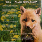 HELEN PIENEN KETUN TARINA & SUKI LEIJONANPENTU DVD - pikkukuva 2