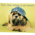 °°"TARTU TÄHÄN HETKEEN JA...°°" -KORTTI / Rachaelhale - pikkukuva 1