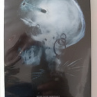 Pilvilinna joka romahti - DVD - pikkukuva 2