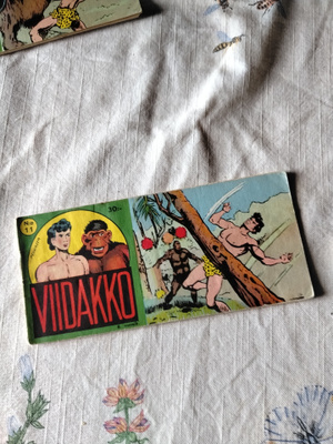 viidakko 6 vsk 11