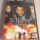 The Stray (DVD) - Michael Madsen - pikkukuva 1